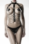 Preview: GREY VELVET 3-teiliges Kettenharness-Set