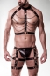 Preview: GREY VELVET Erotik-Set MEN